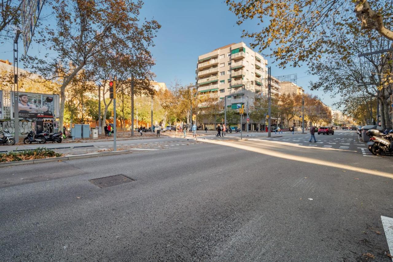 Apartment Amazing 3 Bedroom With Terrace In Poble-sec *